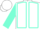 White, aquamarine seams on sleeves