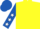 Yellow, royal blue sleeves, white stars, royal blue cap