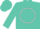 Turquoise, pink ''h/r/c'' in white circle