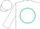 White,one purple and one turquoise sleeve,horses emblem in turquoise circle on back