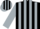 Black, silver stripes on sleeves, silver leaf on back