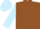 Brown body, light blue arms, light blue cap