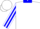 White with blue stripe on sleeves , blue collar , hr emblem on left chest and back