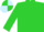 Lime Green, Light Blue and white quartered cap