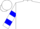 White, blue'j/s'  blue bars on sleeves