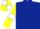 DARK BLUE, YELLOW sleeves, WHITE armlets, WHITE and YELLOW quartered cap