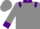 Gray, brown bear, purple 'grizz:' purple collar & epaulets, purple cuffs