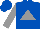 Royal Blue, Grey Triangle, Grey sleeves