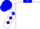 White, blue collar, blue diamonds on sleeves, blue cap
