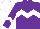 Purple, white chevron hoop on body and sleeves, white cap