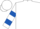 White, royal blue shamrock, white 'j', royal blue bars on sleeves