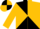 Black and gold diagonal quarters, black and gold quartered sleeves