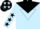 LIGHT BLUE, black yoke and inverted triangle, stars on sleeves and cap