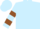 Light blue, light blue r on brown belt, brown bars on sleeves, light blue cap
