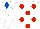WHITE, red spots, white cap, royal blue diamond