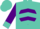 Turquoise, turquoise 'ag' in purple ball, turquoise chevrons and cuffs on purple sleeves