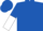Royal blue,  white snowflake, royal blue and white halved sleeves