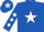 Royal blue, white star, diamonds on sleeves, royal blue cap, white star