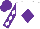 White, Purple diamond, Purple sleeves, White diamonds, Purple cap