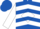 Royal blue, white chevrons, white diamond seam on sleeves