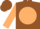 Brown, beige disc, beige sleeves, brown cuffs, brown cap