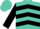 Turquoise, gold lightning bolt, black chevrons and cuffs on sleeves