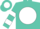 Turquoise, turquoise eagle on white ball, white bars on sleeves
