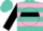 Turquoise and pink hoops, turquoise and pink 'cm' on black ball, black cuffs on sleeves