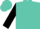 Turquoise, black 'oz' and wizard, black cuffs on sleeves, turquoise cap