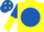 Yellow, royal blue disc, royal blue and yellow halved sleeves, royal blue cap, yellow diamonds
