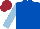 Royal blue, light blue sleeves, maroon cap