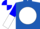 Royal blue, white ball, blue and white halved sleeves, blue and white quartered cap