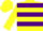 Yellow, purple hoops, race horse