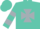 Turquoise, silver maltese cross, hooped sleeves, turquoise cap