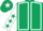 Dark green, white seams, white sleeves, dark green stars, dark green cap, white star