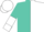 Turquoise and white halved, white cuffs on turquoise sleeves, turquoise and white halved cap