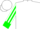 White, green shamrock 'jc' green cuffs & stripe on sleeves
