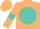 Tan, turquoise ball, tan armlets on turquoise sleeves