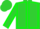 Lime green, gold horseshoe, forest green shamrock, forest green seams
