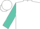 White,turquoise emblem,turquoise 'lrv', turquoise bars on slvs
