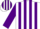 White, purple stripes, purple slvs