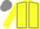 Yellow body, grey seams, yellow arms, grey cap, yellow striped