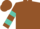 Brown, turquoise 'l', turquoise bars on sleeves,