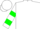 White, kelly green palm tree, kelly green hoops on sleeves, white cap