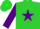 Lime green, purple star, green 'm b', purple diamond slvs
