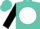 Turquoise, black 'mk' on white ball, black sleeves, turquoise cap