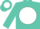 Turquoise, turquoise ''k/k'' on white ball