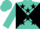 Turquoise and black diagonal quarters, turquoise and black stars, turquoise cap