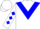 White, blue triangular panel, blue diamonds on sleeves, white cap