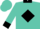 Turquoise, black diamond on back, black cuffs & collar